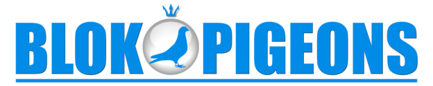 blok pigeons strak logo