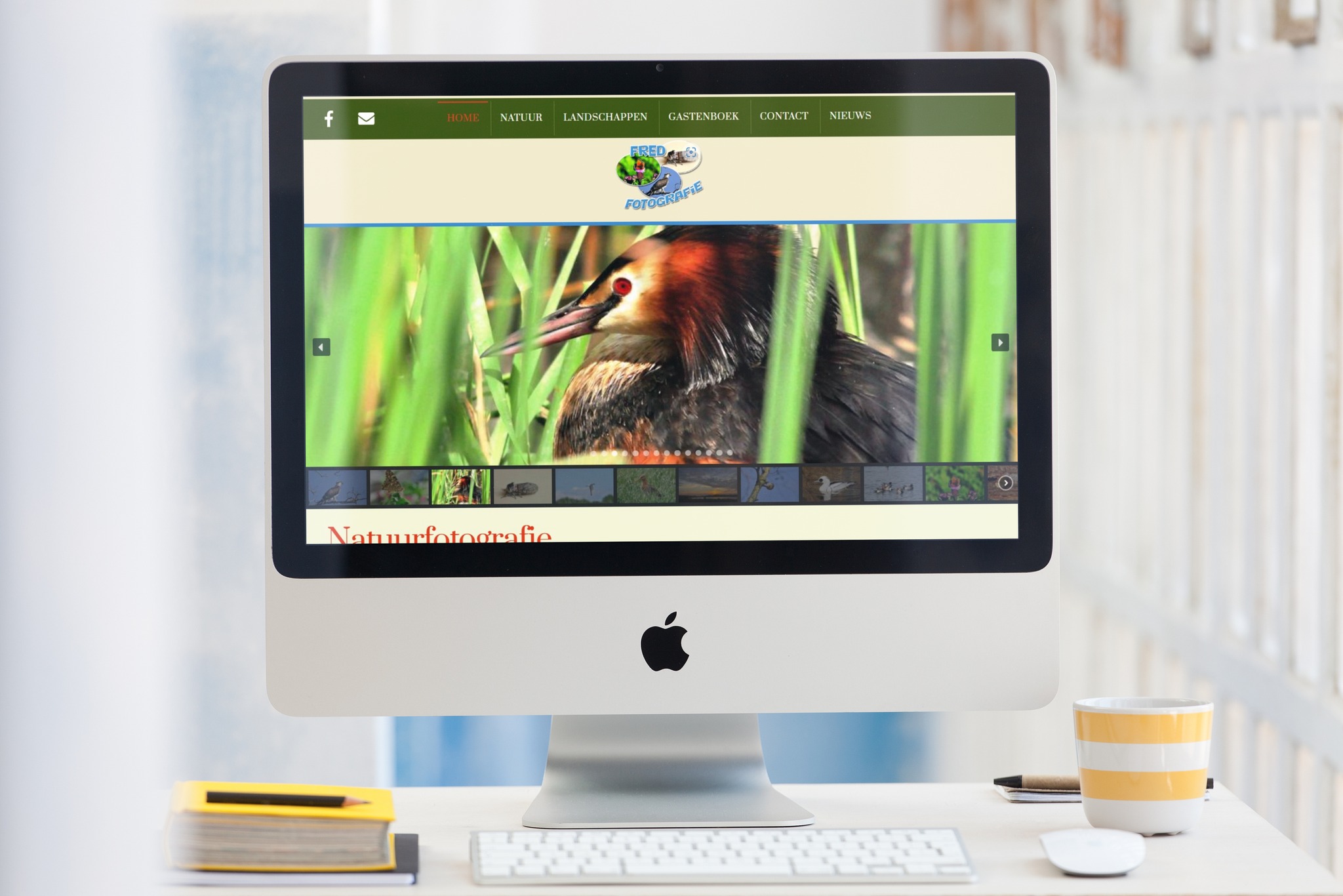 fred fotografie portfolio webdesign